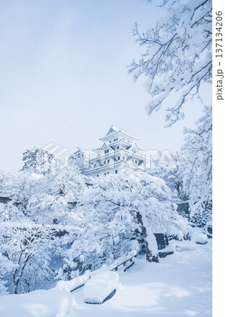 郡上八幡城（冬） 137134206