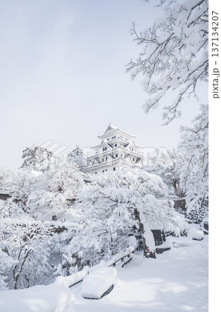 郡上八幡城（冬） 137134207