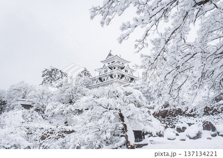 郡上八幡城（冬） 137134221