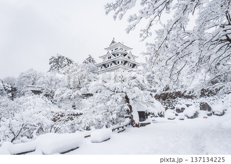郡上八幡城（冬） 137134225