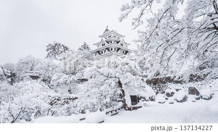 郡上八幡城(冬) 郡上八幡城(冬) 137134227