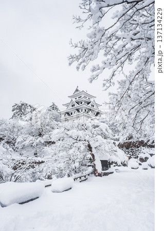 郡上八幡城(冬) 郡上八幡城(冬) 137134229