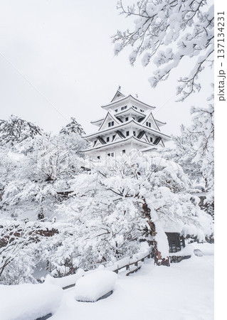 郡上八幡城（冬） 137134231