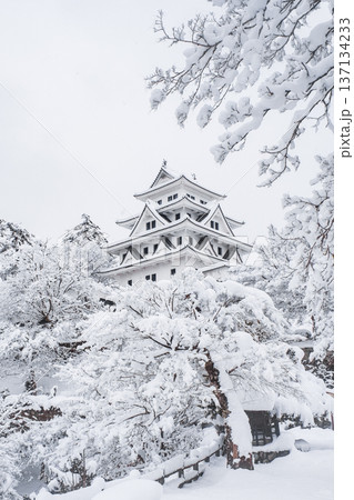 郡上八幡城（冬） 137134233