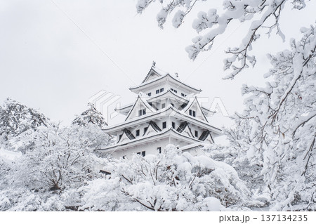 郡上八幡城（冬） 137134235