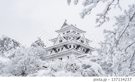 郡上八幡城(冬) 郡上八幡城(冬) 137134237