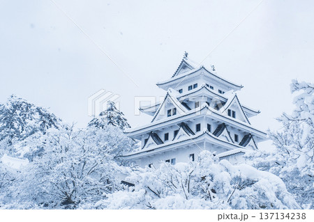 郡上八幡城(冬) 郡上八幡城(冬) 137134238