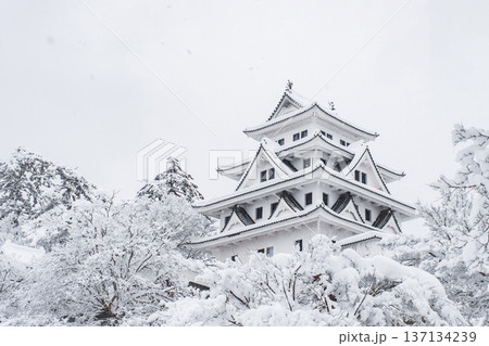郡上八幡城(冬) 郡上八幡城(冬) 137134239