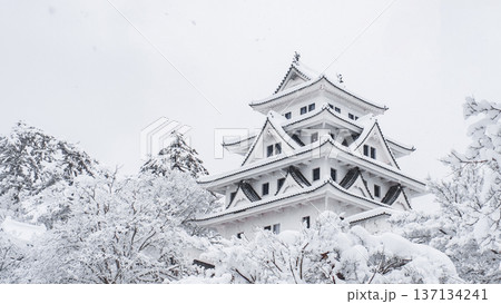 郡上八幡城（冬） 137134241