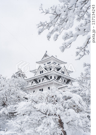 郡上八幡城（冬） 137134243