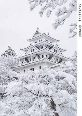 郡上八幡城（冬） 137134245