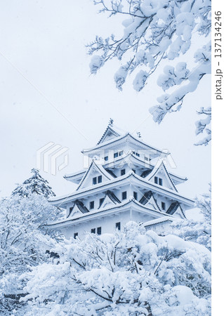 郡上八幡城(冬) 郡上八幡城(冬) 137134246