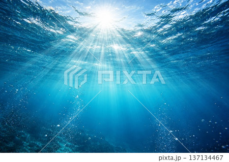 背景素材　水中　海中　見上げる　太陽光線　フォトリアル 137134467