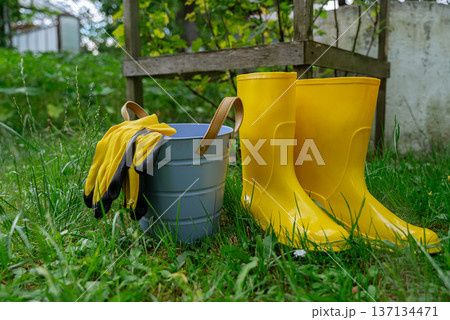 Gardening tools on outdoor greenery background. Concept of homegrown farm healthy living. Yellow boots with bucket and garden gloves  137134471