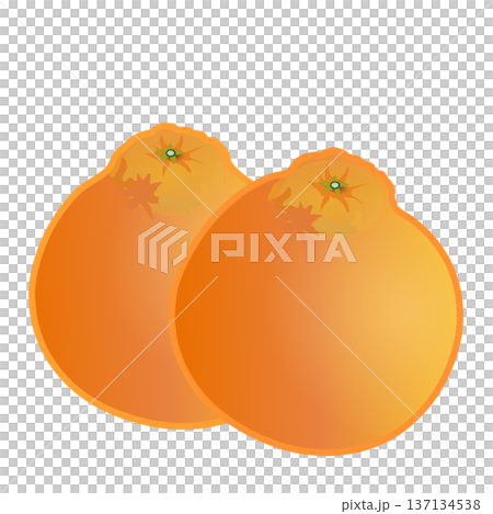 不知火插畫 137134538
