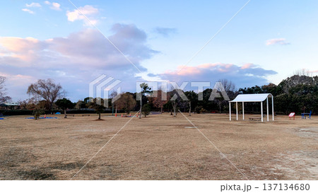 広々とした遊具がある米山公園 広々とした遊具がある米山公園 137134680