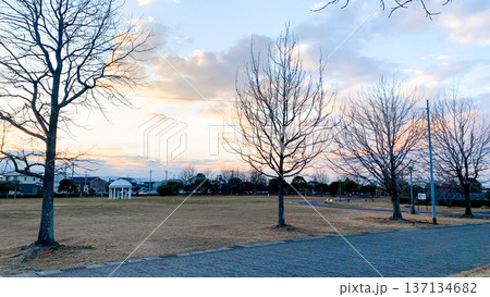 広々とした遊具がある米山公園 137134682
