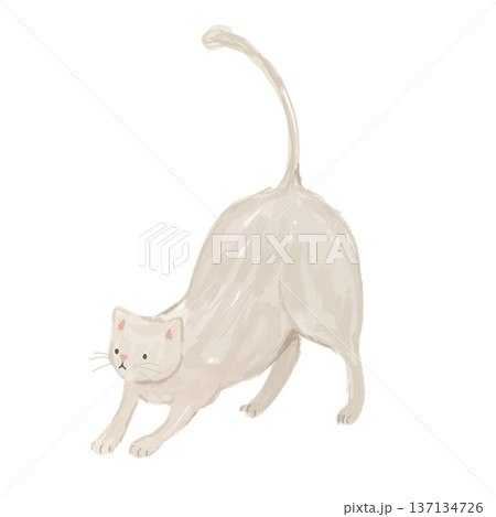 伸びをするラフタッチな白猫のベクターイラスト 伸びをするラフタッチな白猫のベクターイラスト 137134726