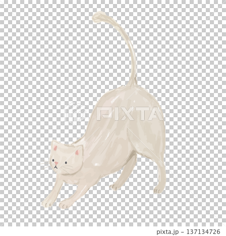 伸びをするラフタッチな白猫のベクターイラスト 伸びをするラフタッチな白猫のベクターイラスト 137134726