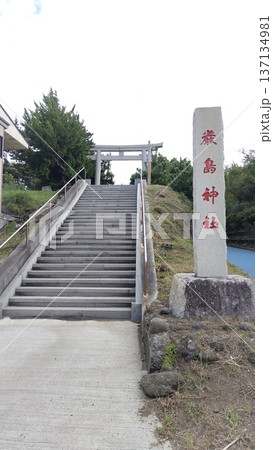 野島崎、厳島神社【千葉県・南房総市】 137134981
