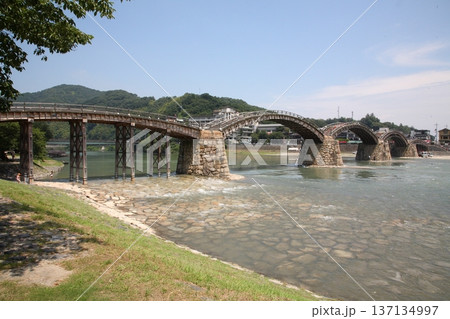 岩国錦帯橋【山口県岩国市】 137134997