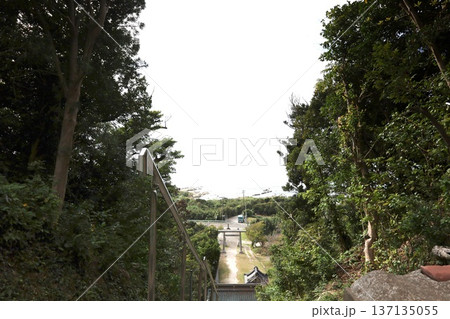 洲崎神社、厄祓坂と呼ばれる石段と太平洋【千葉県・館山市】 洲崎神社、厄祓坂と呼ばれる石段と太平洋【千葉県・館山市】 137135055
