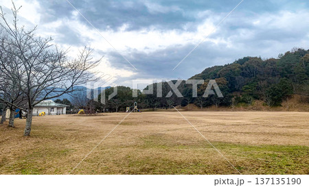 冬の甘木公園 137135190