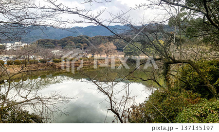 冬の甘木公園 冬の甘木公園 137135197