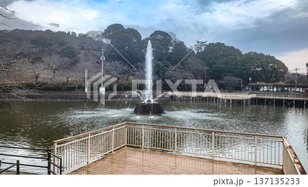 甘木公園の池と噴水 甘木公園の池と噴水 137135233