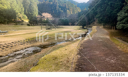 薬王寺水辺公園の風景 137135334