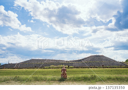 群馬　保渡田八幡塚古墳 137135350