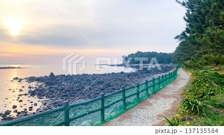 波戸岬の夕暮れ遊歩道 波戸岬の夕暮れ遊歩道 137135584