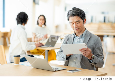オフィスで働くビジネスマン オフィスで働くビジネスマン 137135616