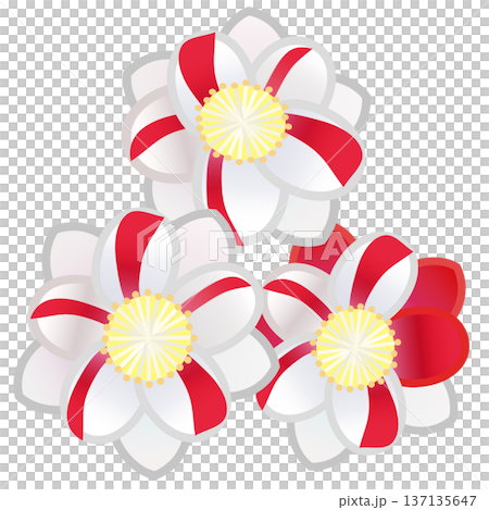 Illustration of peach blossoms Illustration of peach blossoms 137135647