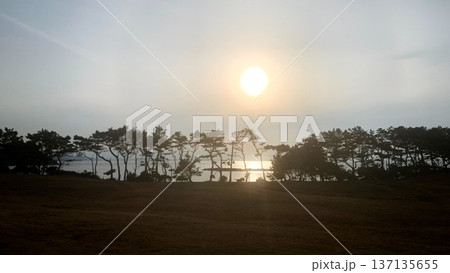 波戸岬の浜辺に沈む夕陽 波戸岬の浜辺に沈む夕陽 137135655