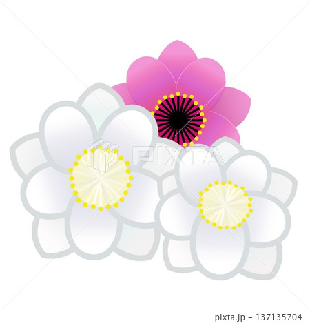 花桃のイラスト 137135704