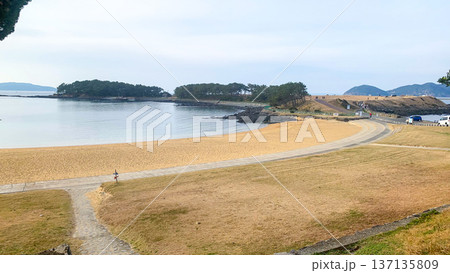 波戸岬の穏やかな風景 137135809