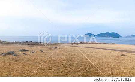 波戸岬の穏やかな風景 137135825