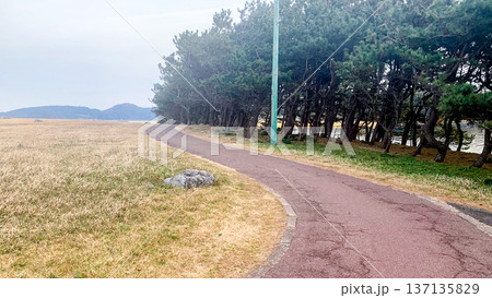 波戸岬の穏やかな風景 137135829