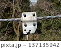 吊り橋ケーブルと金具の力強いクローズアップ01 137135942