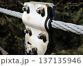 吊り橋ケーブルと金具の力強いクローズアップ05 137135946