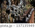 吊り橋ケーブルと金具の力強いクローズアップ08 137135949