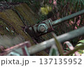 吊り橋ケーブルと金具の力強いクローズアップ11 137135952