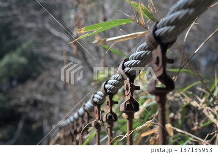 吊り橋ケーブルと金具の力強いクローズアップ12 137135953