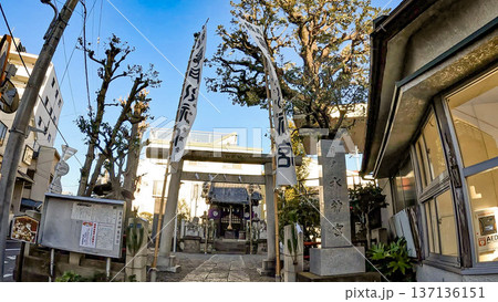 東京、新春の亀戸水神社、門松と奉納幟のある風景 137136151