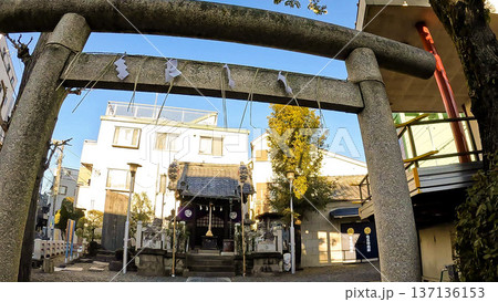 東京、新春の亀戸水神社、門松と奉納幟のある風景 137136153