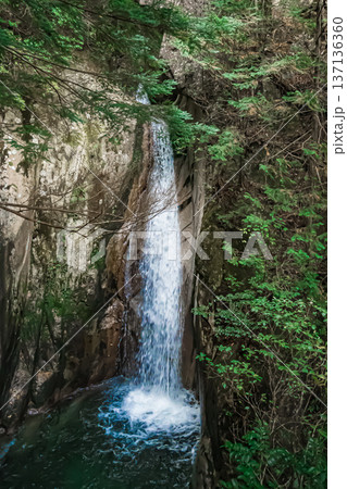 山口・岩国・寂地峡 137136360