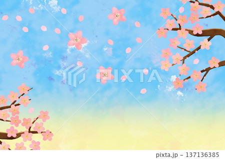 桜の花テンプレート 137136385