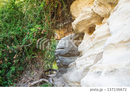 Picturesque Rock Formations and Lush Vegetation in Cyprus, a Natural Wonder of the Island 137136672