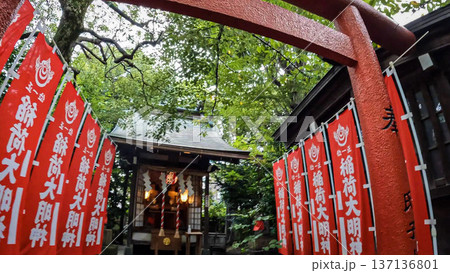 東京、新緑に囲まれた静かなお稲荷様と赤い奉納旗 137136801